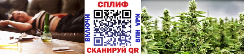 цены   Цоци-Юрт  Конопля тримм 